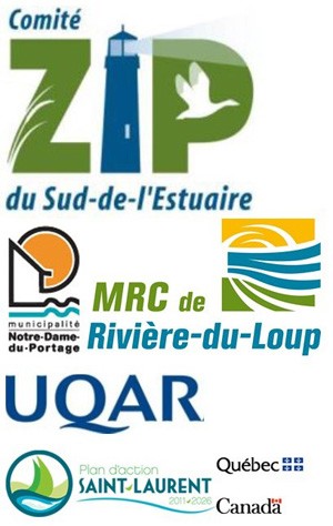 logos comité Zip